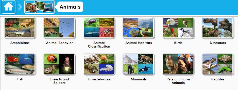 Pebble Go!: Pebble Go is a database that includes non-fiction books, videos and activities.