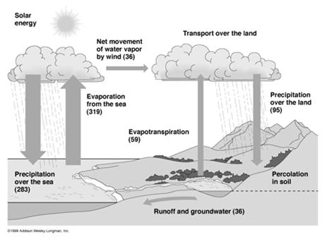 reservoirs - major storage locations + assimilation - processes through which element incorporates into terrestrial plants and animals + release - processes through which element returns to the