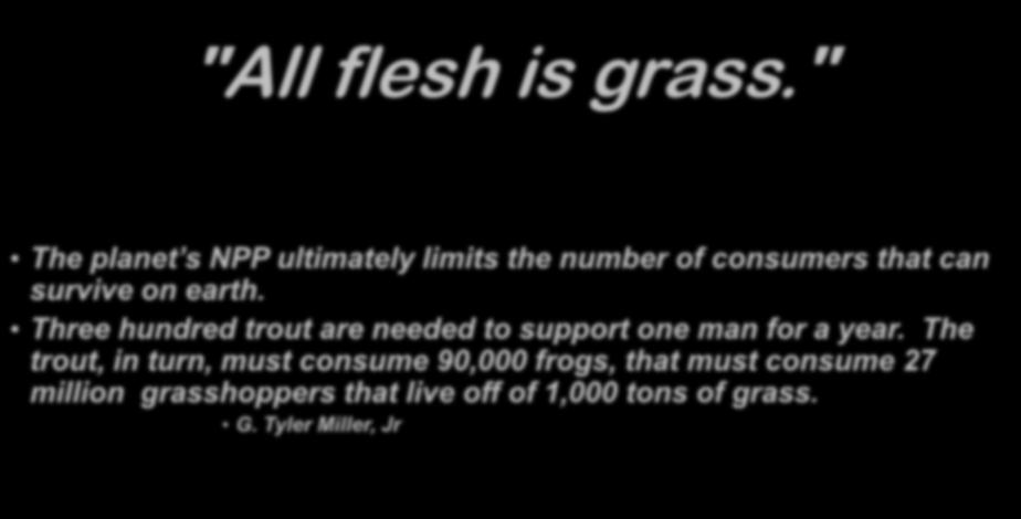 "All flesh is grass." The planet s NPP ultimately limits the number of consumers that can survive on earth.