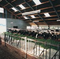 14 Dairy Training Centre Friesland Dairy Training Centre Friesland (DTC-Friesland) is part of IPC Livestock.