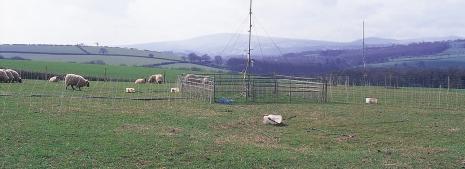 Figure 8.4 Measurement of ammonia emissions from grazing sheep using mass balance micrometereology.