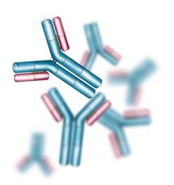Anti-Pseudomonal Therapeutic Antibody Target candidate profile: Monotherapy treatment for serious P.