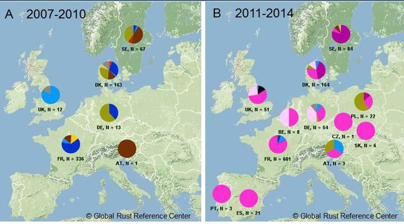 Changes in race distribution in Europe* 2000-2014 Old European population: Low SSR diversity