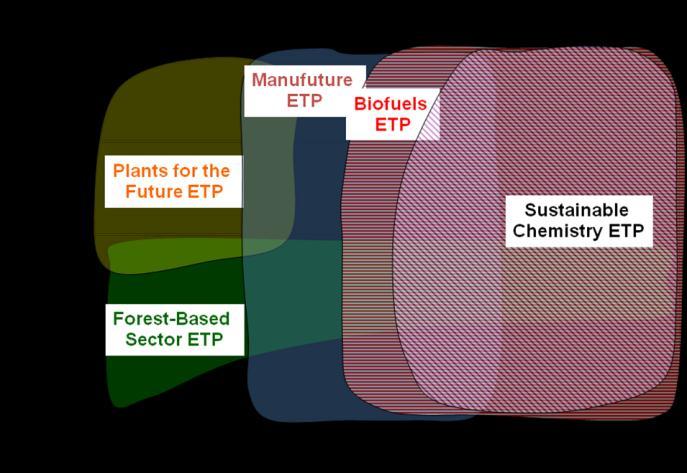 Project consortium Project Beneficiaries European Confederation of Woodworking Industries Plants for the Future ETP represented by European Plant Science Organisation Sustainable Chemistry ETP