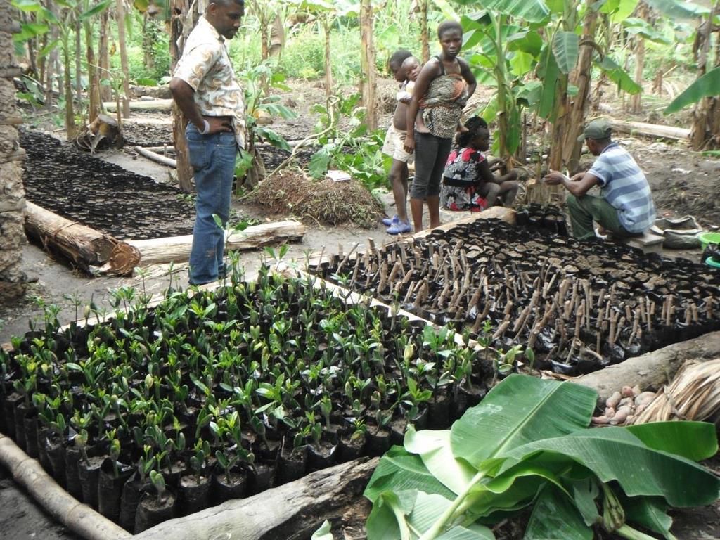 Built capacity in nursery and field silvicultural techniques Seed collection and nursing Field preparation and planting