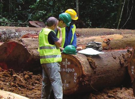 Since 2004, Proforest has run the Central Point of Expertise for Timber Procurement (CPET), offering direct, practical support and training to the whole public sector