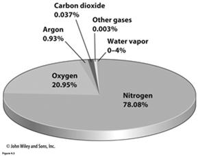 Composition of the Atmosphere Constant Gases More or less same proportion 99% are composed of nitrogen and oxygen Variable Gases Differ in proportion over time and space Make up only less than 1%