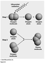 Variable Gases: Ozone (O 3 ) Forms when gaseous chemicals react in upper
