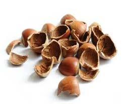 Hazelnut shells were industrial wastes of food processing.