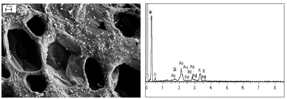 Results (FT-IR and SEM-EDX Analysis of Chars) Pyrolysis caused evolvemet of oxygen from the structure of raw materials and cracking of the aromatic structures which leads to carbonaceous solid