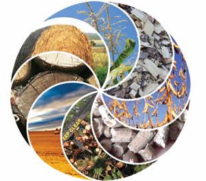 Biomass The term biomass is ascribed to biological materials derived from living,