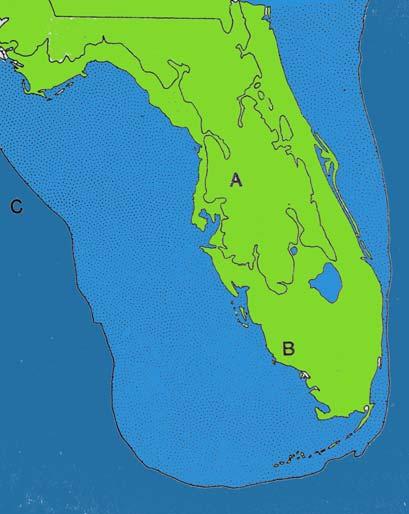 Florida Through Time Climate Change Happens!
