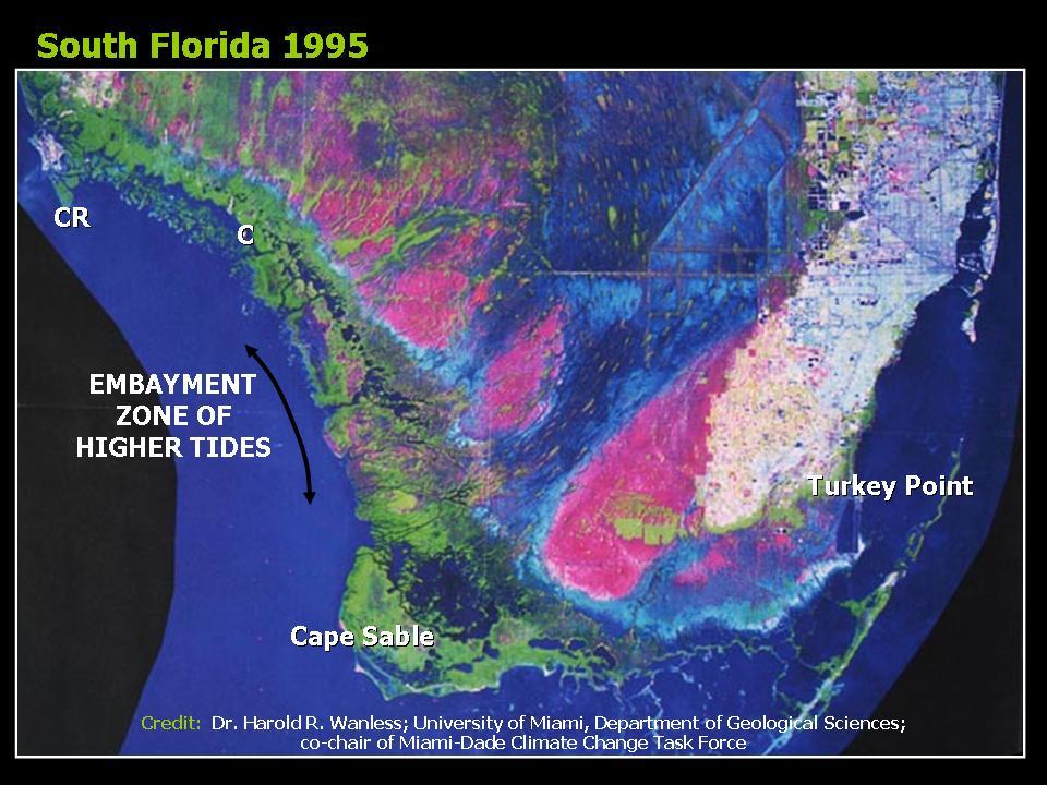 Sea Level Rise in Florida A little less than one foot during the past century measured