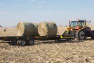 Biomass* $60 per dry ton