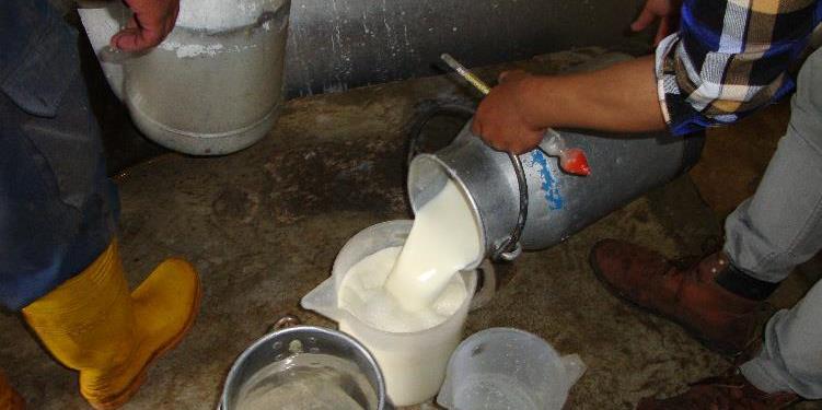 Intervention logic in the dairy sector The government of Indonesia
