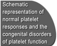 Increased destruction Schematic representation of normal platelet responses and the congenital