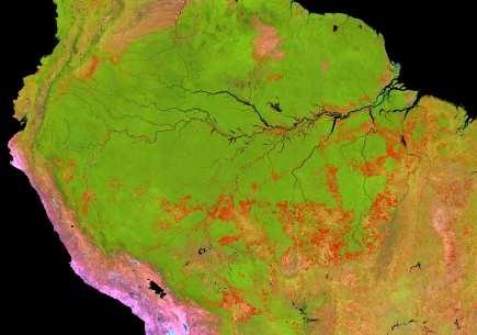 The Amazon deforestation 2001-2012