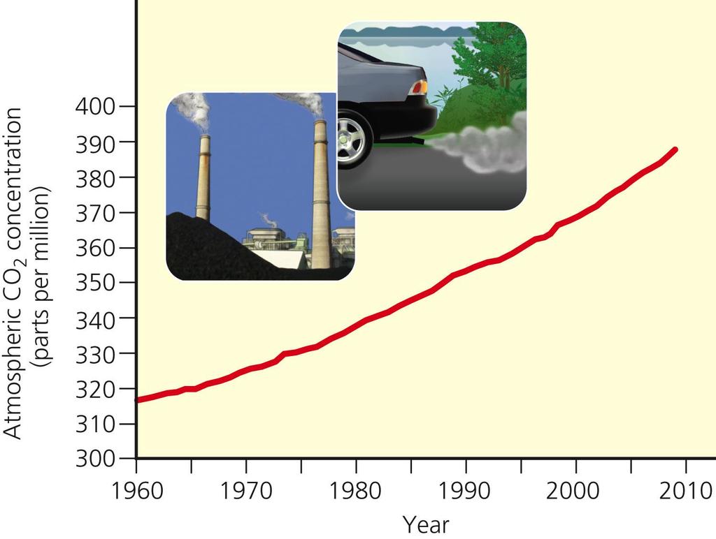 Increase in Atmospheric Carbon