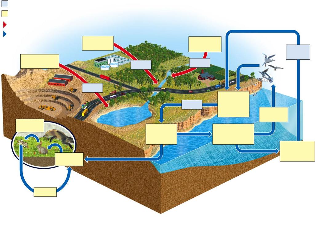 Process Reservoir Pathway affected by humans Natural pathway Phosphates in mining waste Phosphates in sewage Runoff Phosphates in fertilizer Runoff Plate tectonics Animals (consumers) Plants