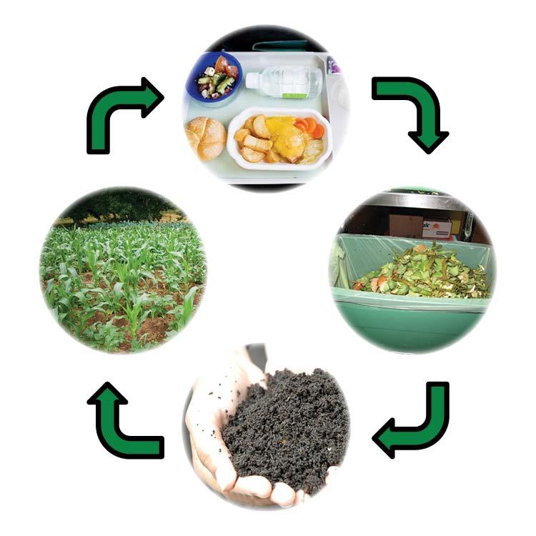 Closed Loop Organic Waste Recycling at Cognizant Technology Solutions Compostable Foodservice products Food waste and compostable plastics collected together Compost