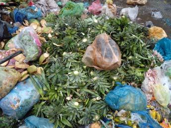 Composition of municipal solid waste (3) Often, municipal solid waste in developing countries consist of the following wastes: Infectious waste: wastes from hospital and clinic that may