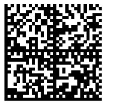 square and rectangular International Standards also allow the 2D barcodes to be produced in a positive version (black on