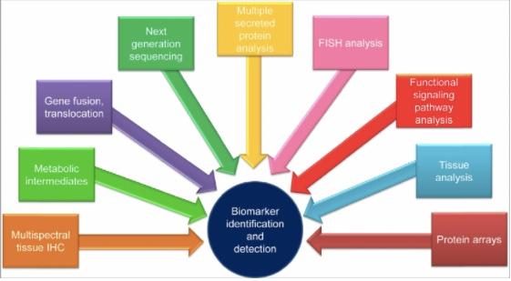 What Is a Biomarker?
