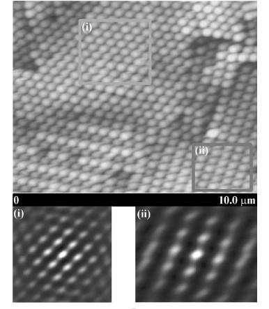 Researches done in our group AFM of Au-PS colloidal crystal (Au can t be seen here too small) Ordered