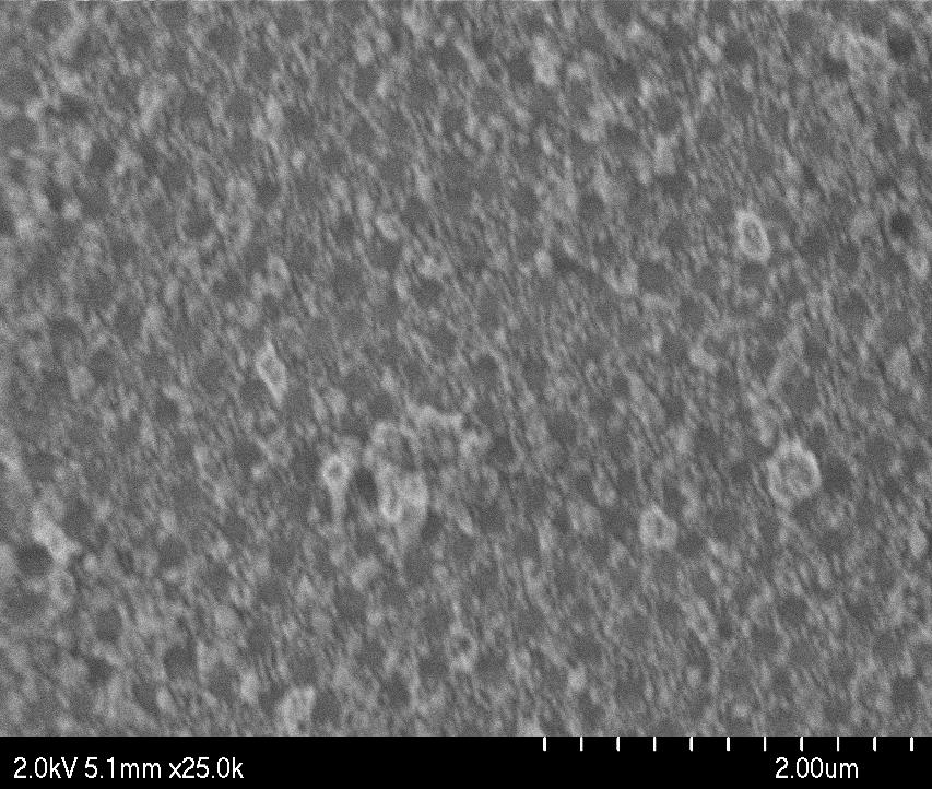 distributed Sample prepared with 200 nm PS
