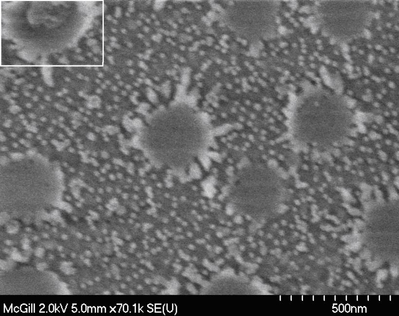 An Example to fabricate periodic nanostructures Fabricated many samples PS sphere sizes: 100 nm, 200 nm, 500 nm and 700 nm Resulted in hole and ring structures Ring structures are not continuous ring