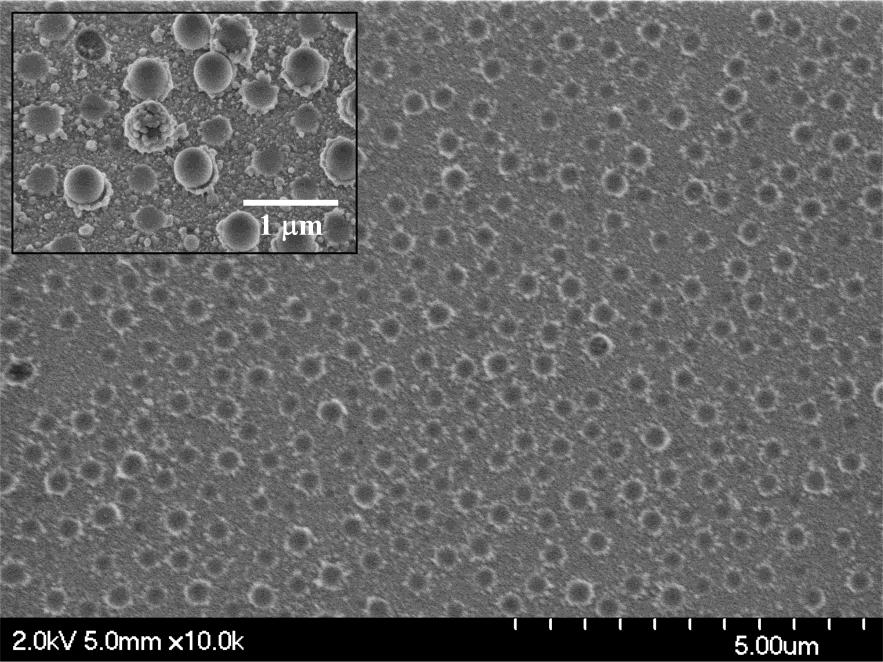 Nanohole/nanoring array prepared with 530 nm PS and 20 nm Au more rings Sample annealed at 90 0 C for 20 min Inset: