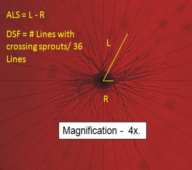 46 Figure 8. Quantification of angiogenesis. ALS=Average length of sprouts; DSF=Density of sprout formation; L=Length; R=Radius of EC pellet.