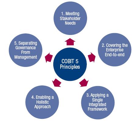 The 5 Principles 11 Enablers are aspects that, separately and together, guide whether something will work in the case of COBIT 5: governance and
