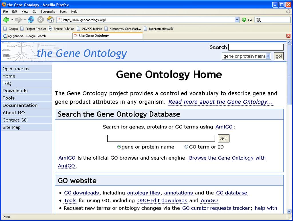 GENE ANNOTATIONS: LINKING NUMBERS TO