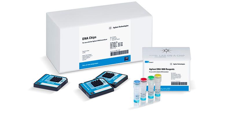 New High Sensitivity DNA Kit - Product Structure Bioanalyzer kit for sizing and quantification of dsdna