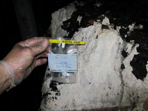 Chrysotile asbestos Photo 4