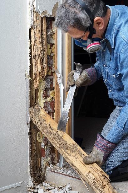 Termites are a real danger to your home unless you live in Tasmania JH Termite Barrier (TB) Your barrier against ravaging termites Subterranean Termites will find their way into your home if there is