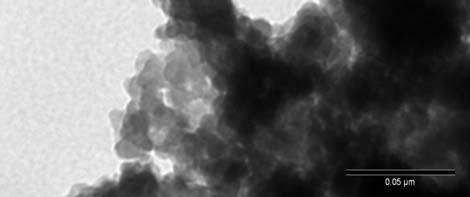 ν M-O TEM images of the obtained hybrids are presented in Figs. 2.a and b. It could be observed that the magnetite and copper ferrite nanoparticles are coated by calcium alginate.