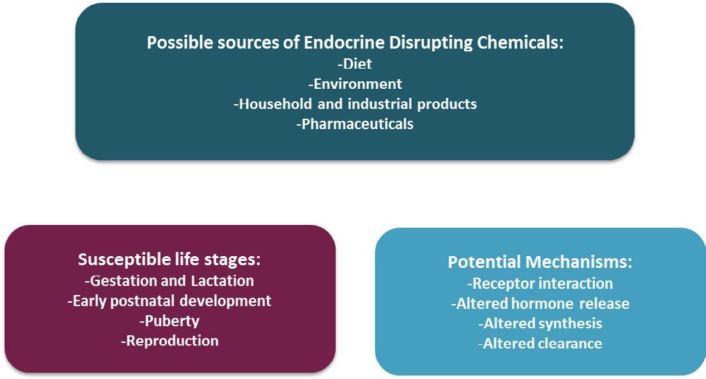 Possible sources of endocrine disrupting chemicals Endocrine disrupting chemicals (EDCs) can be difficult to identify