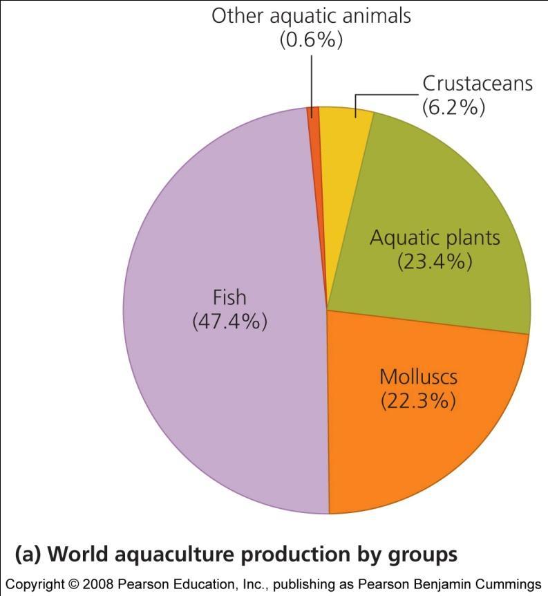 Aquaculture World fish populations are plummeting Technology and increased demand Aquaculture = raising aquatic