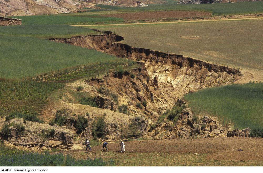 SOIL EROSION AND DEGRADATION Soil erosion is the movement of soil components, especially surface litter and topsoil, by wind or