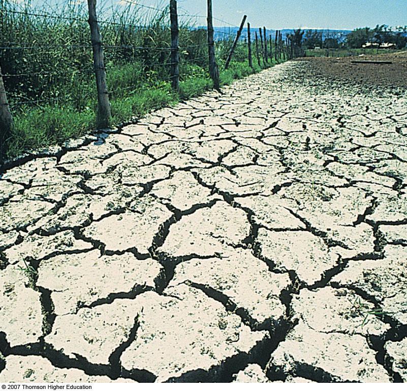 Salinization and Waterlogging of Soils: A Downside of Irrigation Example of high evaporation,