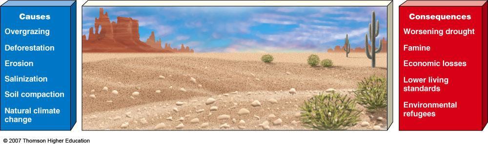 Desertification: Degrading Drylands About one-third of the world s land has lost some of its