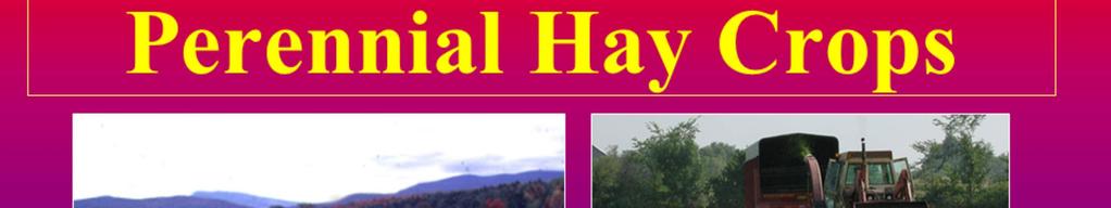 Whether harvested for hay or hay crop silage (haylage,