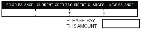 Example 5: Allow Credit Card Payment.