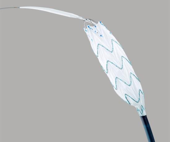 Notable Features: Highly Flexible Inner Nitinol