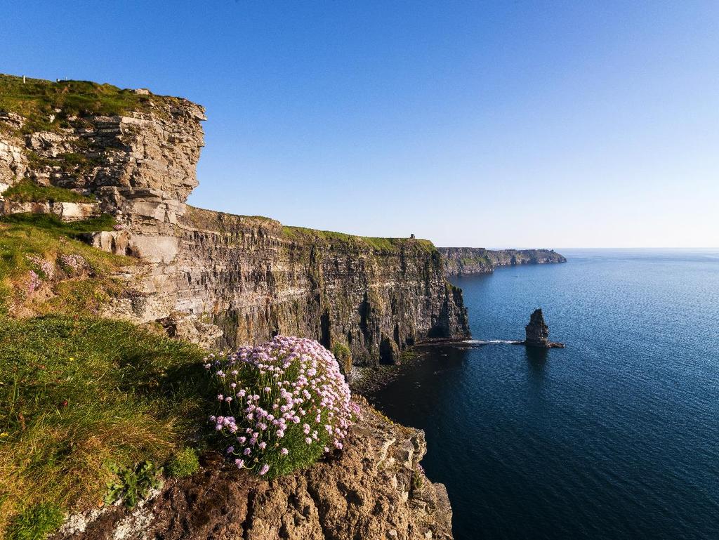 Ireland and the HPRA look