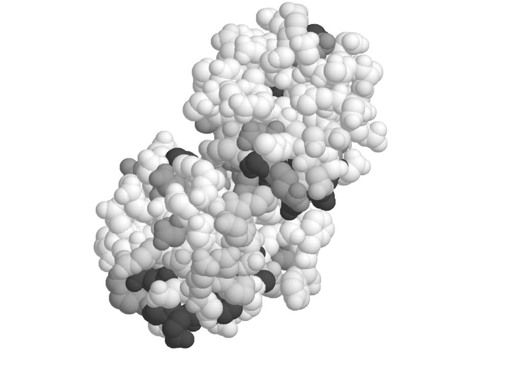 That is all of the atoms in the protein are represented by spheres. It is very hard to visualize the structure of a protein using this model. This is why the cartoons are so useful.