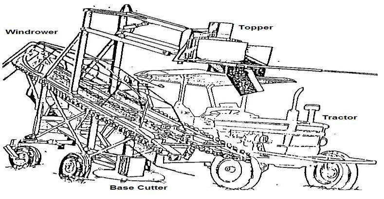 The purpose of the sugar Cane Harvester is to be able to harvest and top burnt sugar cane as well as un-burnt sugar cane.