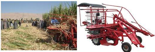The IISR tractor rear-mounted sugarcane harvester serves the purpose of stalk base cutting of single row of sugarcane stalk and windrowing the harvesting crop.